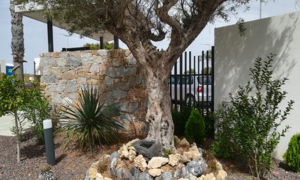 Nybyggeri - Lejlighed -
Torrevieja