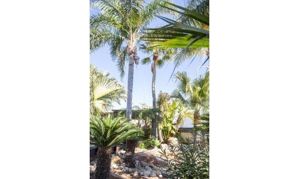 Nybyggeri - Villa -
San Pedro del Pinatar