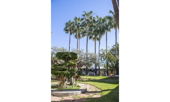 Nybyggeri - Villa -
San Pedro del Pinatar