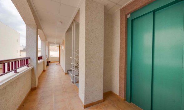 Obra nueva - Apartamento -
San Fulgencio