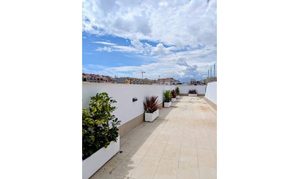 Obra nueva - Apartamento -
Torrevieja