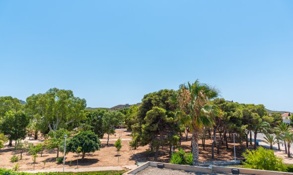 Obra nueva - Villa -
Playa Paraiso