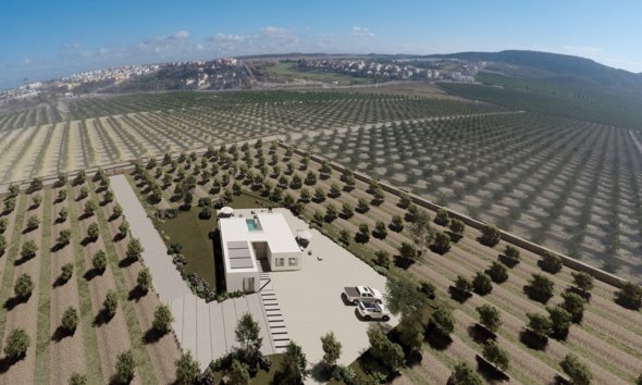 Obra nueva - Villa -
Algorfa