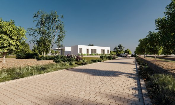 Obra nueva - Villa -
Algorfa