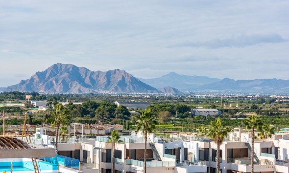 Obra nueva - Villa -
Benijofar