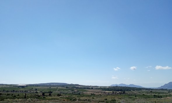 Obra nueva - Villa -
Benijofar